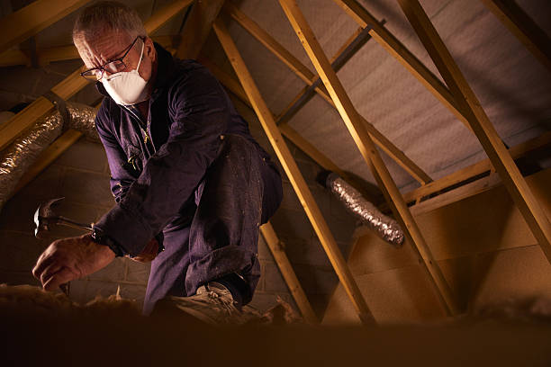 Best Insulation Removal  in Latrobe, PA