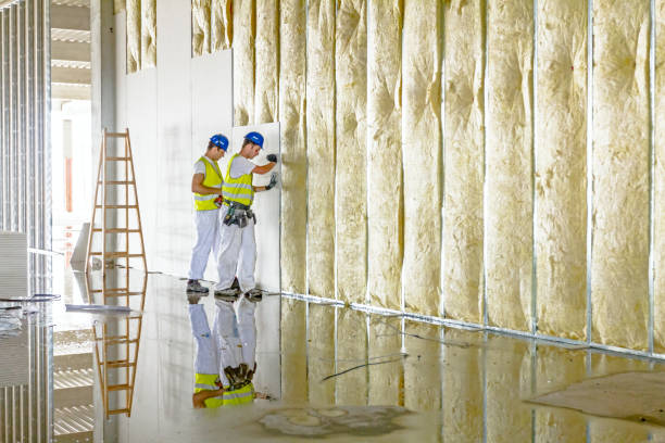 Best Local Insulation Services  in Latrobe, PA